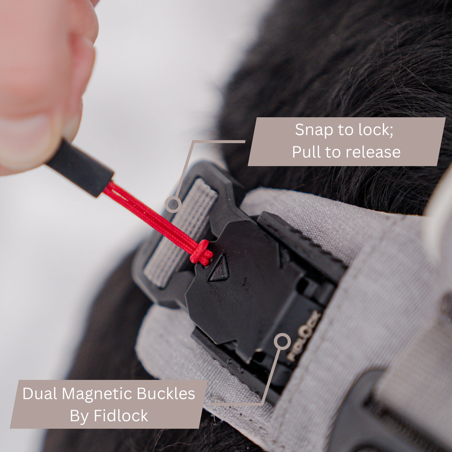 Magnetic Dog Harness – One-Hand Clip, No-Pull Design