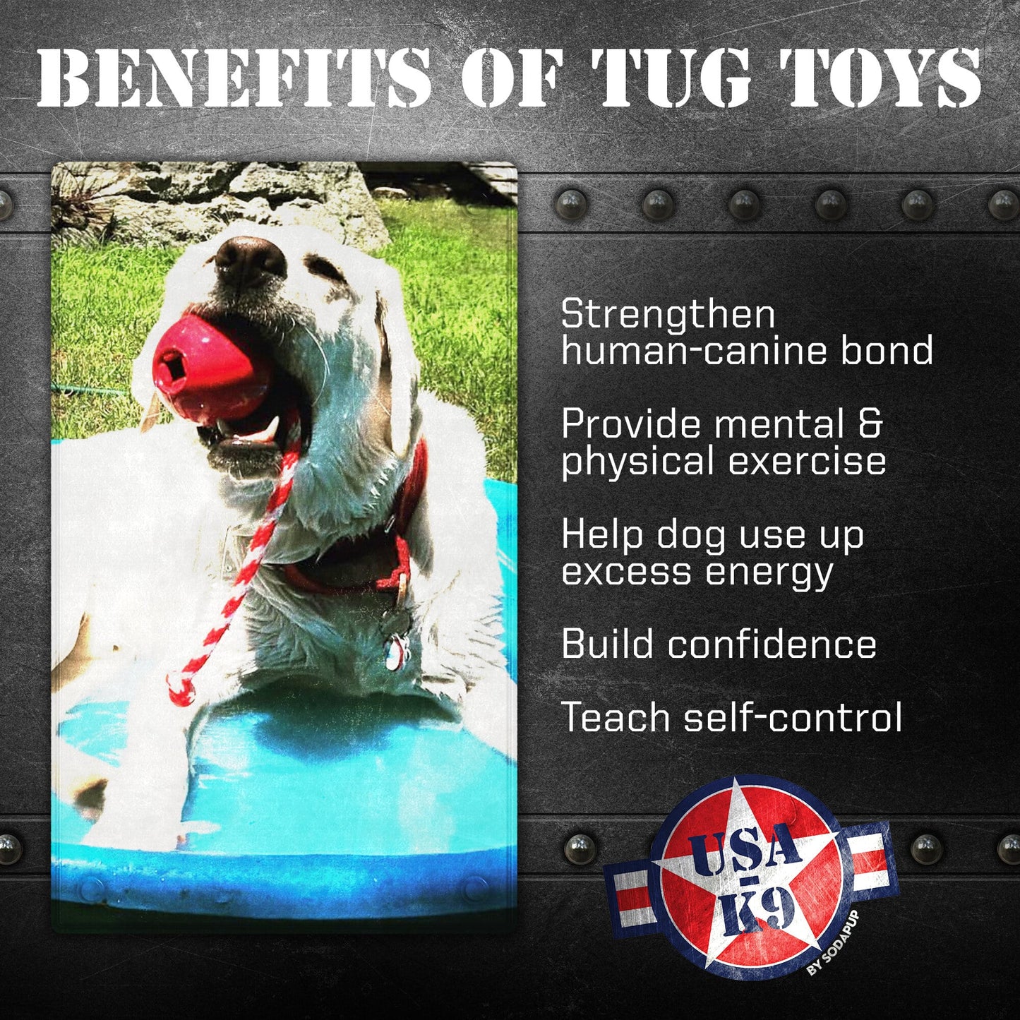 USA-K9 Cherry Bomb Rubber Dog Chew Toy | K9 Handler Reward Toy | Blue | USA Made