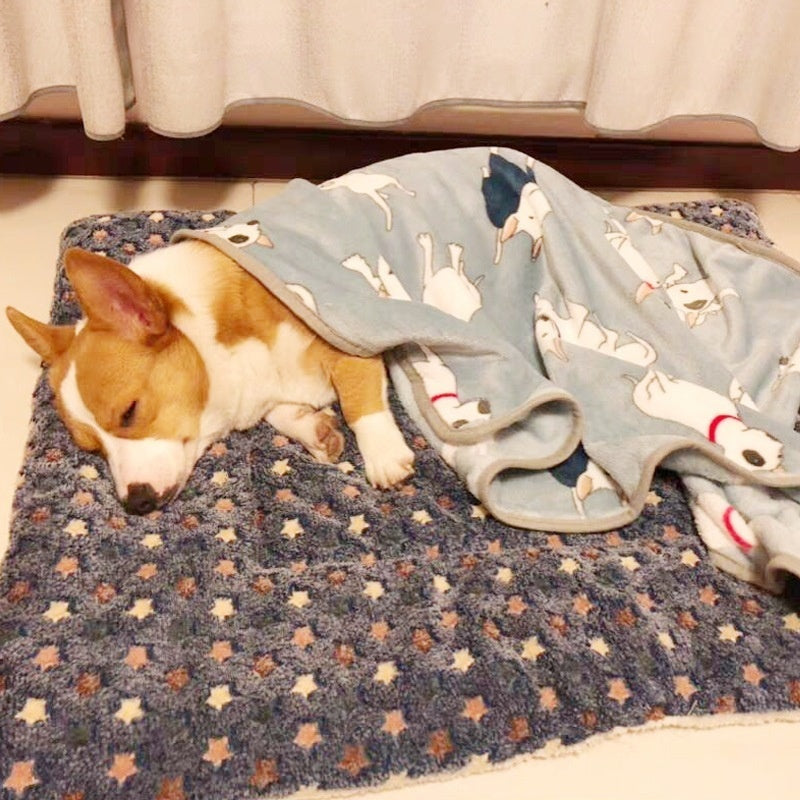 Thickened Pet Mat for Autumn & Winter Warmth