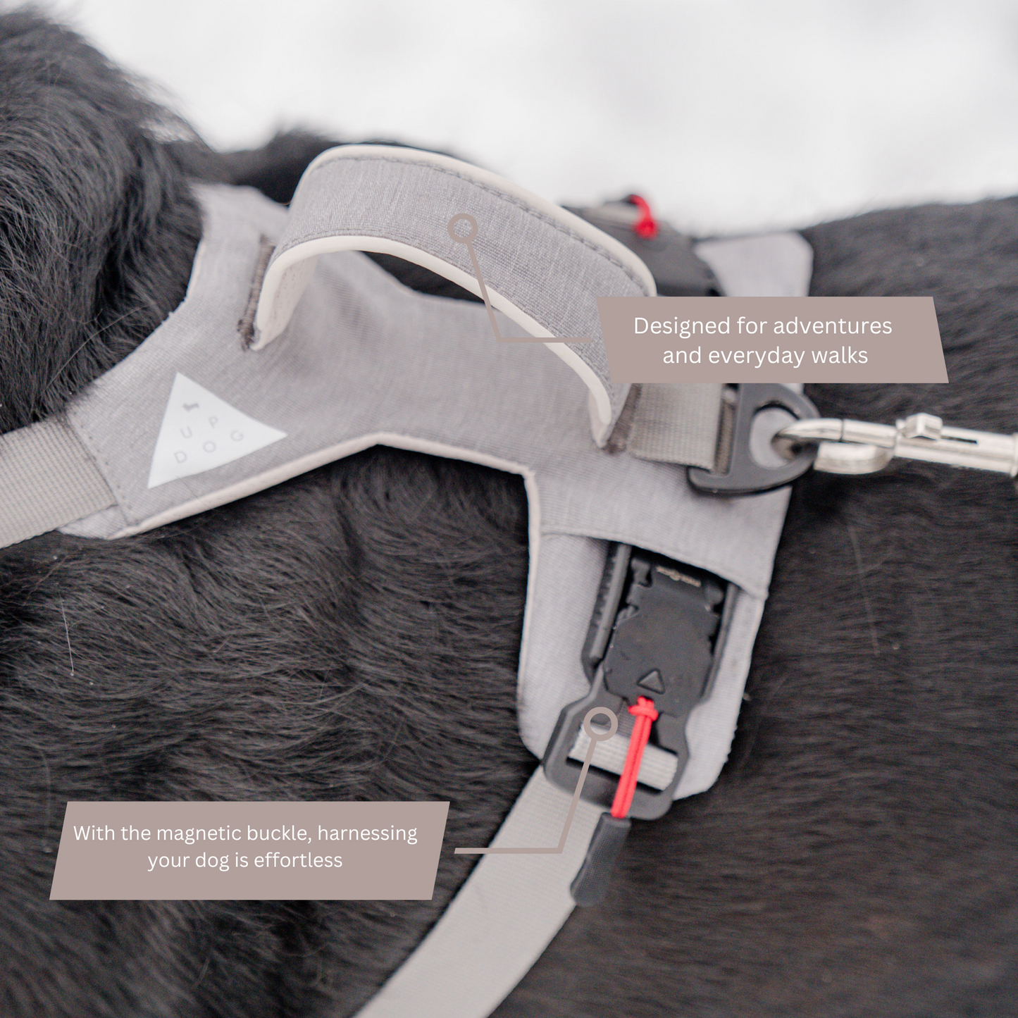 Magnetic Dog Harness – One-Hand Clip, No-Pull Design