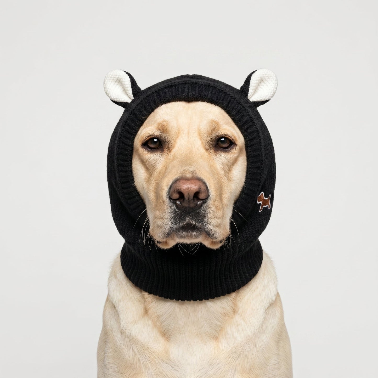 Rabbit Ear Dog Hat