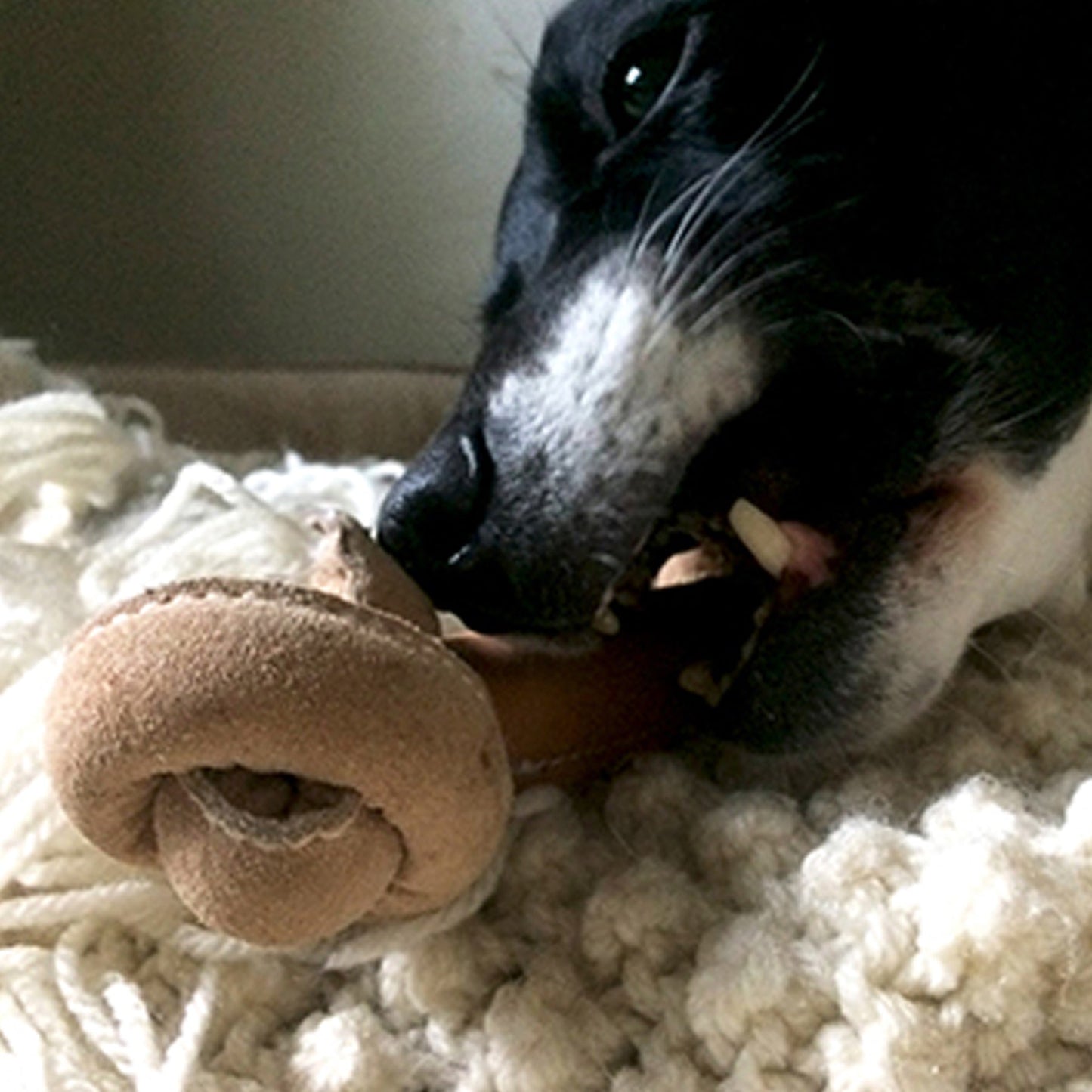 Huggle-Hide® Natural Leather Bone Dog Toy – 3 Pack