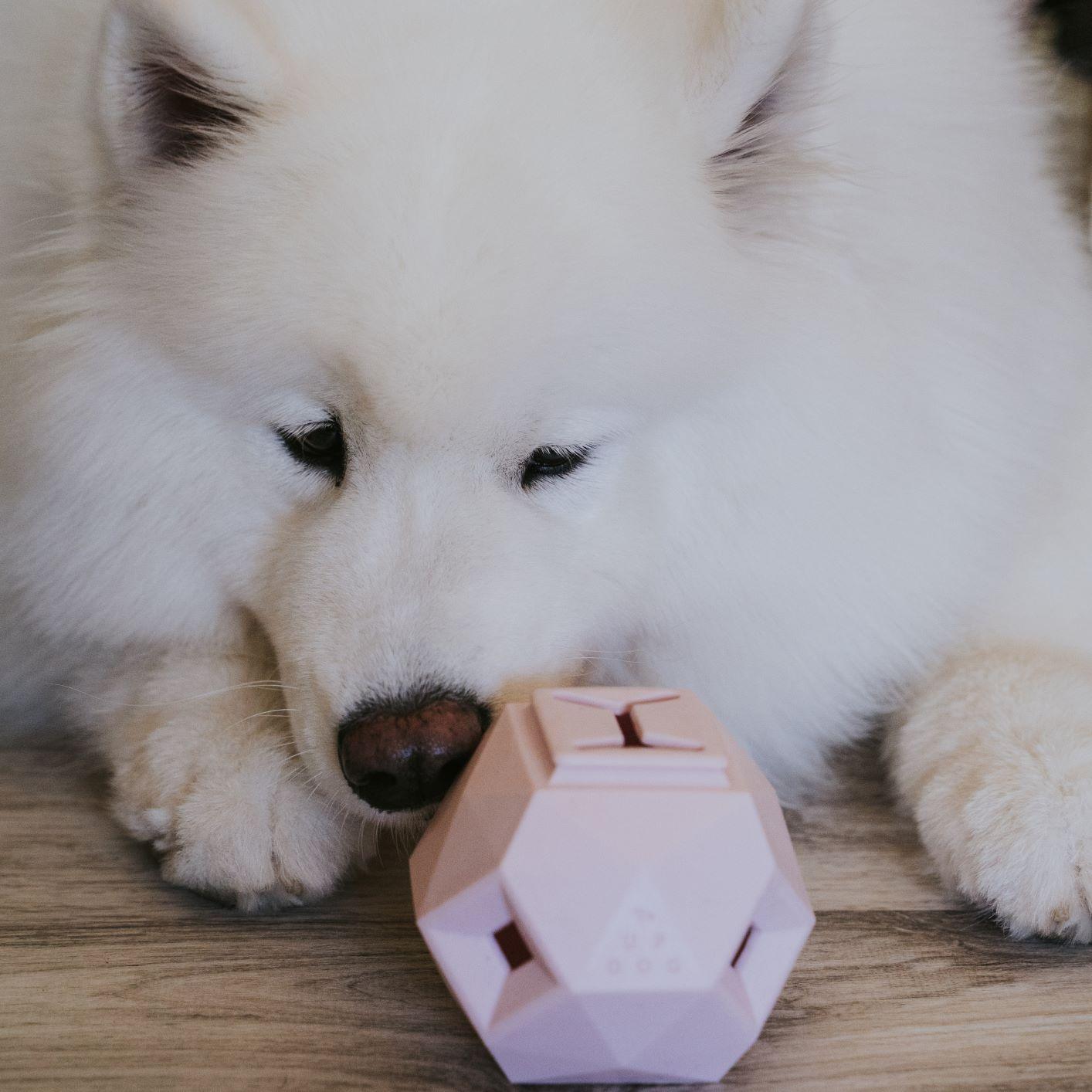 Odin Treat Dispensing Toy for Dogs