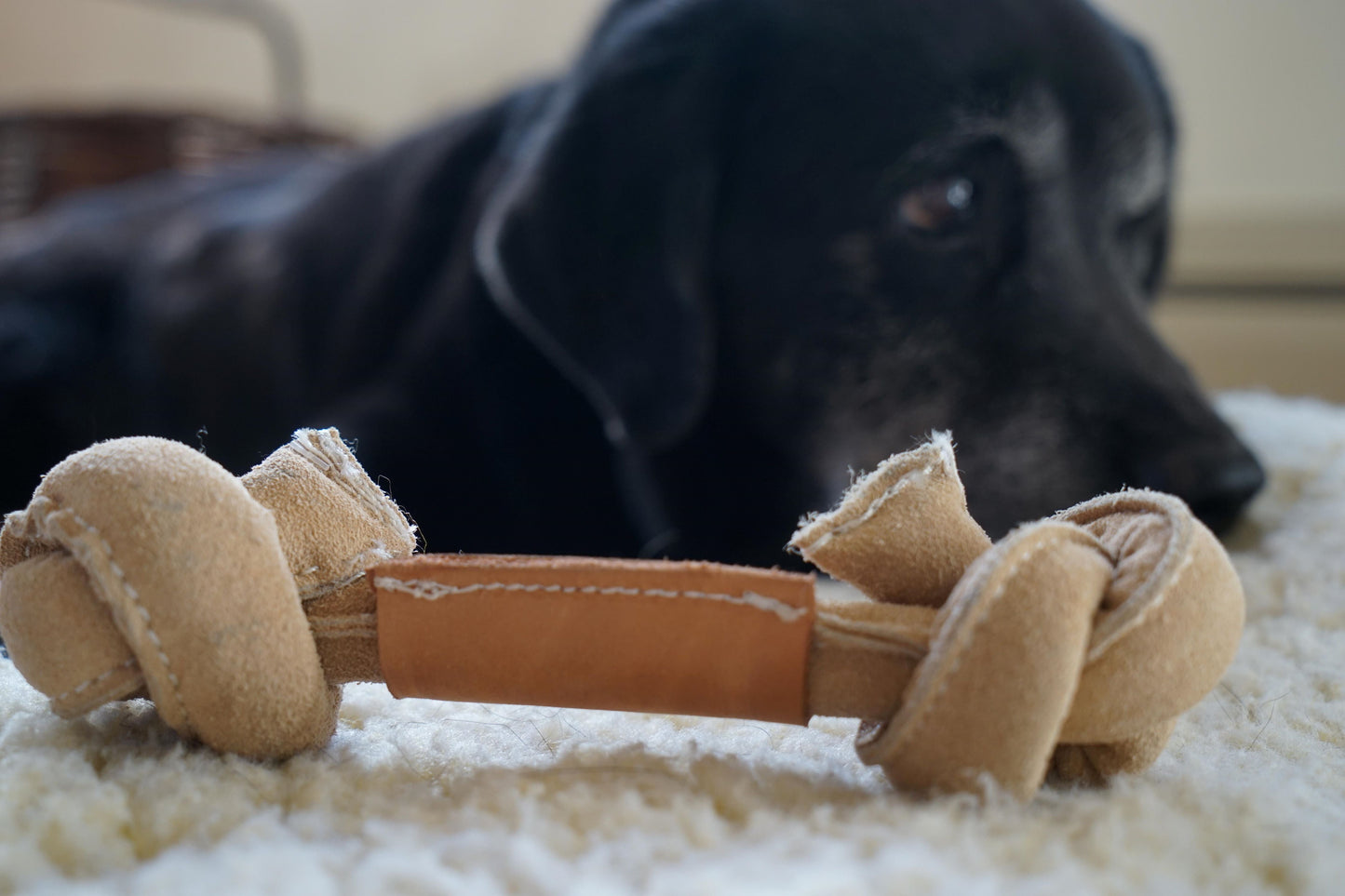 Huggle-Hide® Natural Leather Bone Dog Toy – 3 Pack