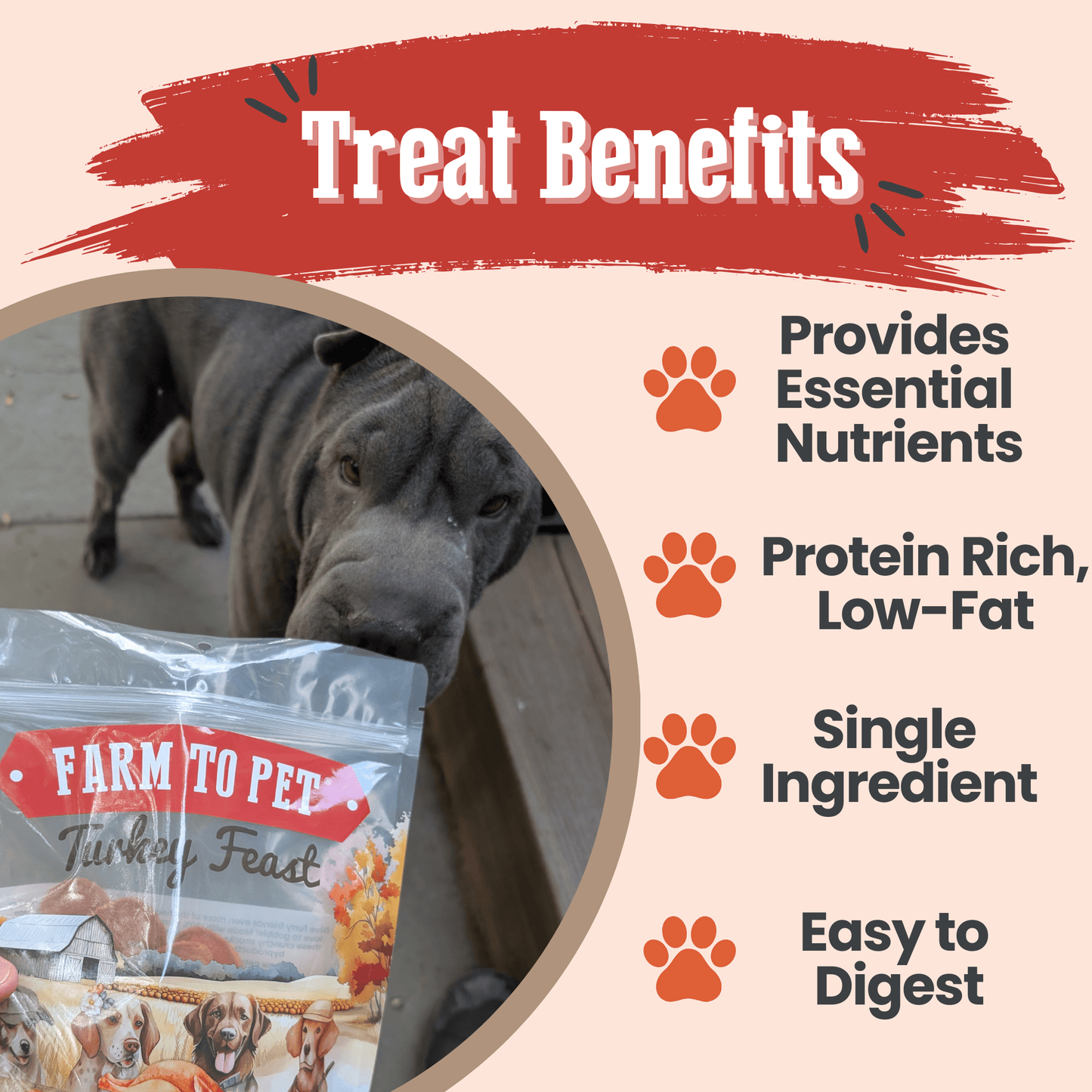 Turkey Feast Chips Dog Treats