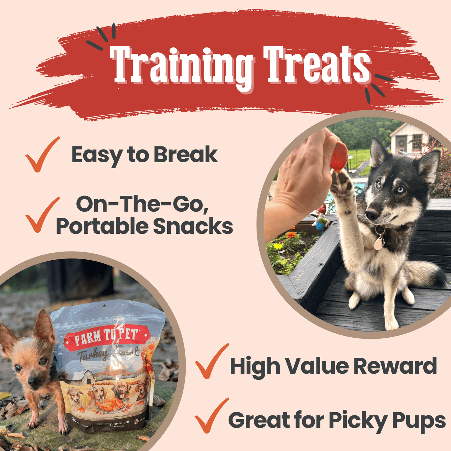 Turkey Feast Chips Dog Treats