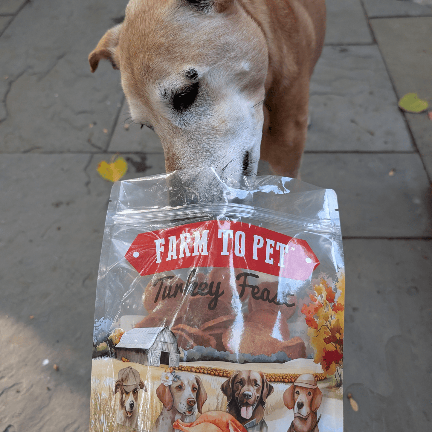 Turkey Feast Chips Dog Treats
