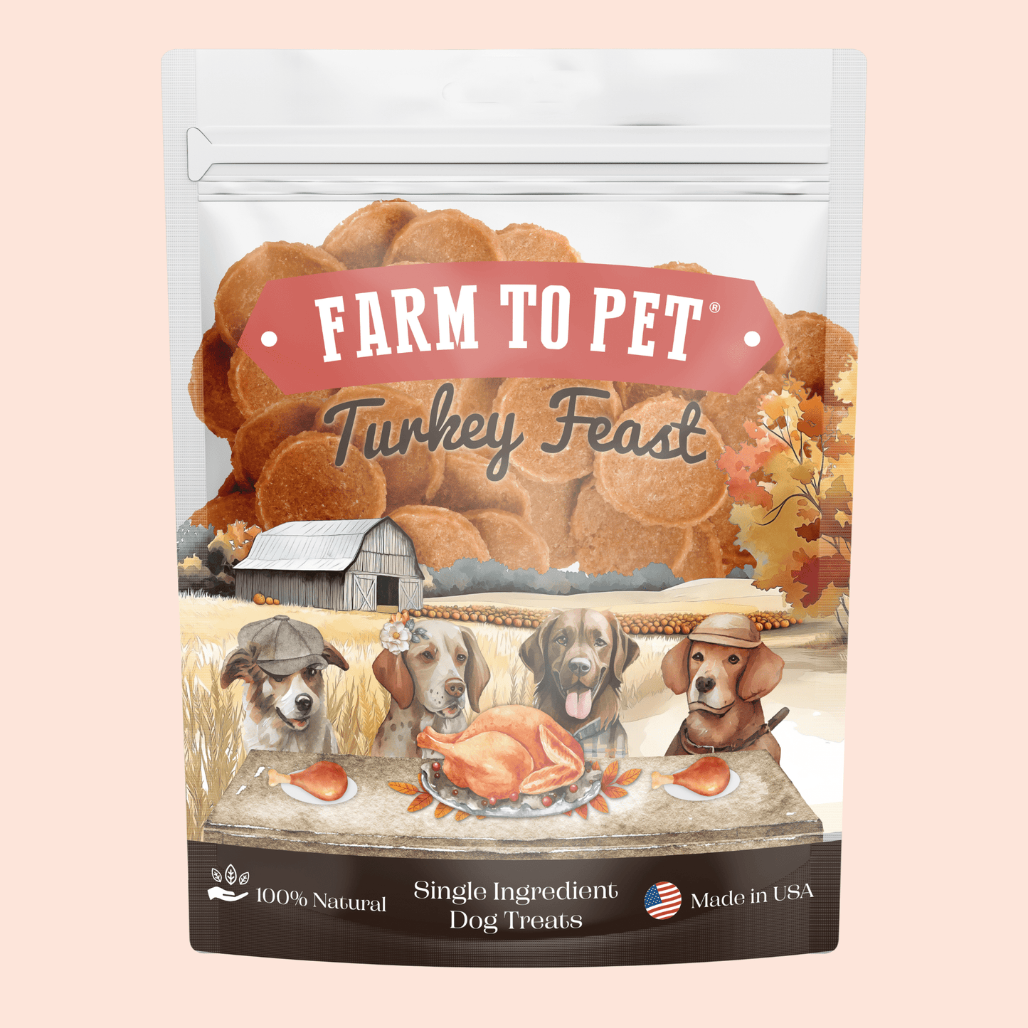 Turkey Feast Chips Dog Treats