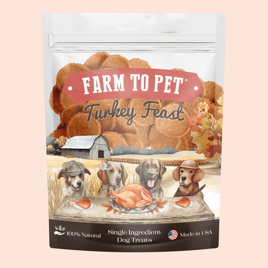 Turkey Feast Chips Dog Treats