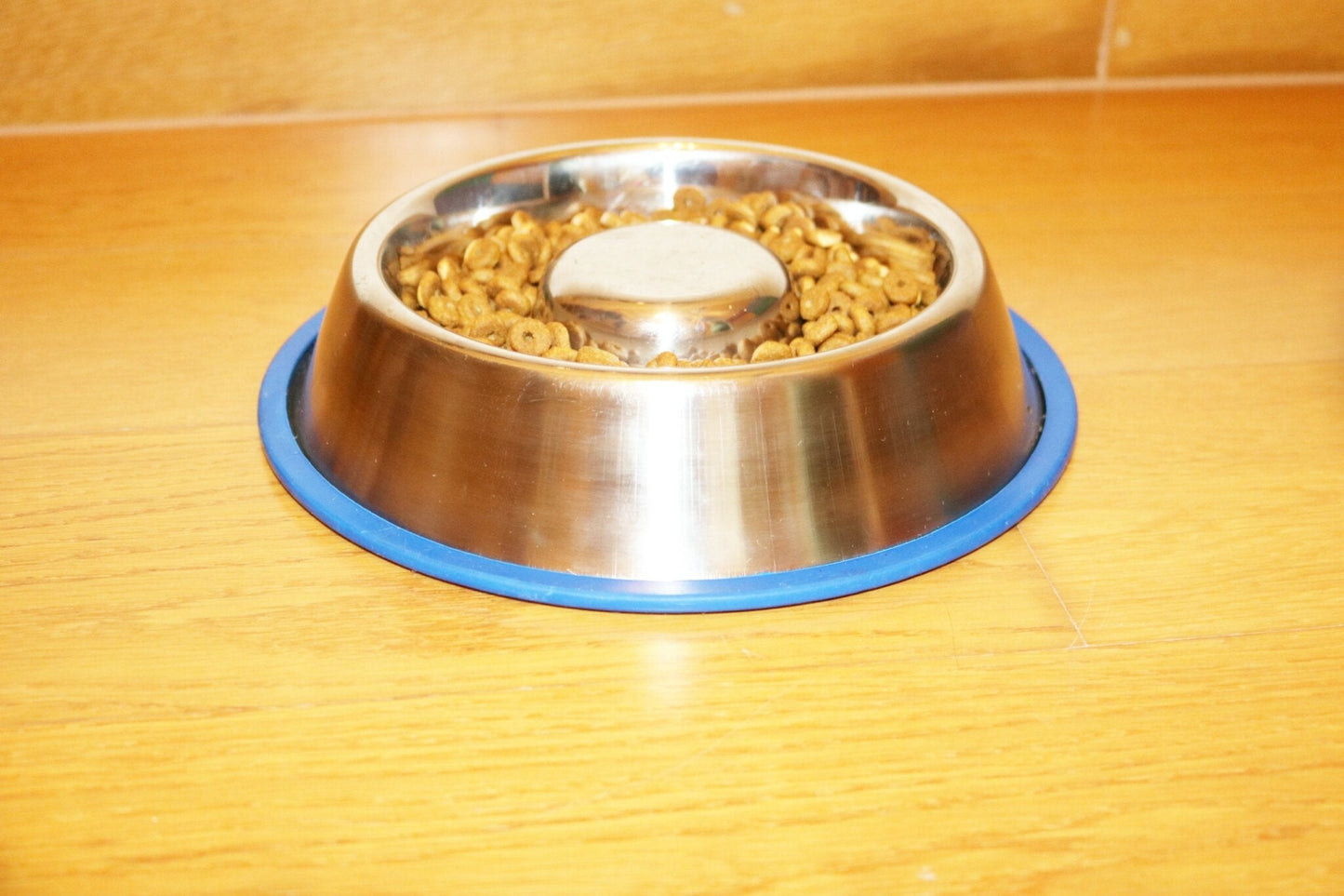 Mr. Peanut's Slow Feed Anti-Bloat Dog Bowl with Silicone Base