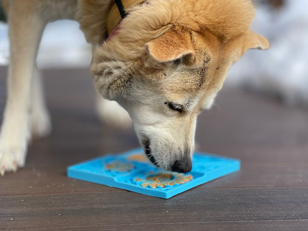 Sky eMat - Enrichment Lick Mat for Dogs and Cats | Celestial Design | SodaPup