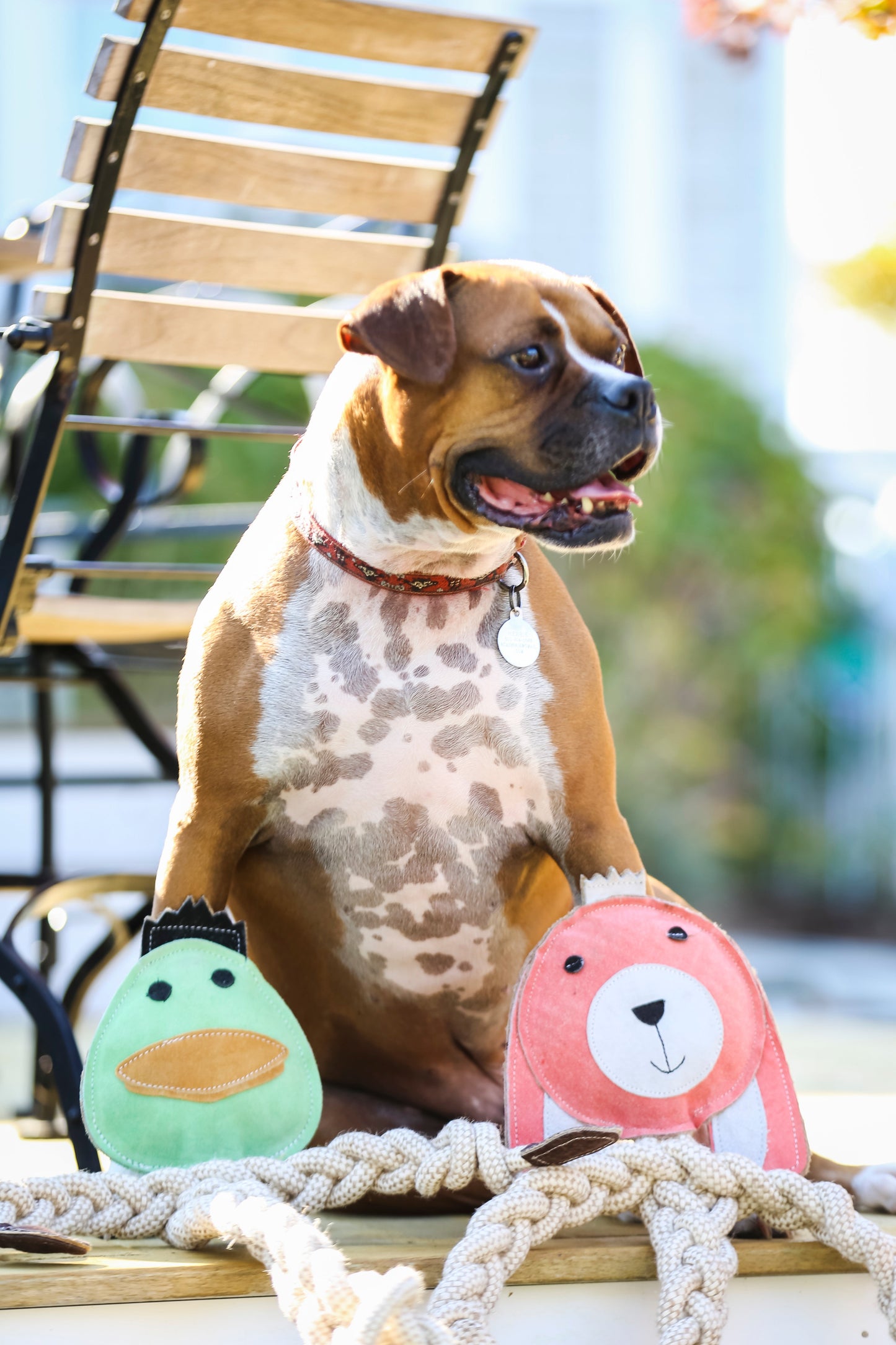 Bitsy Bunny Natural Rope Knottie® Dog Toy – Large