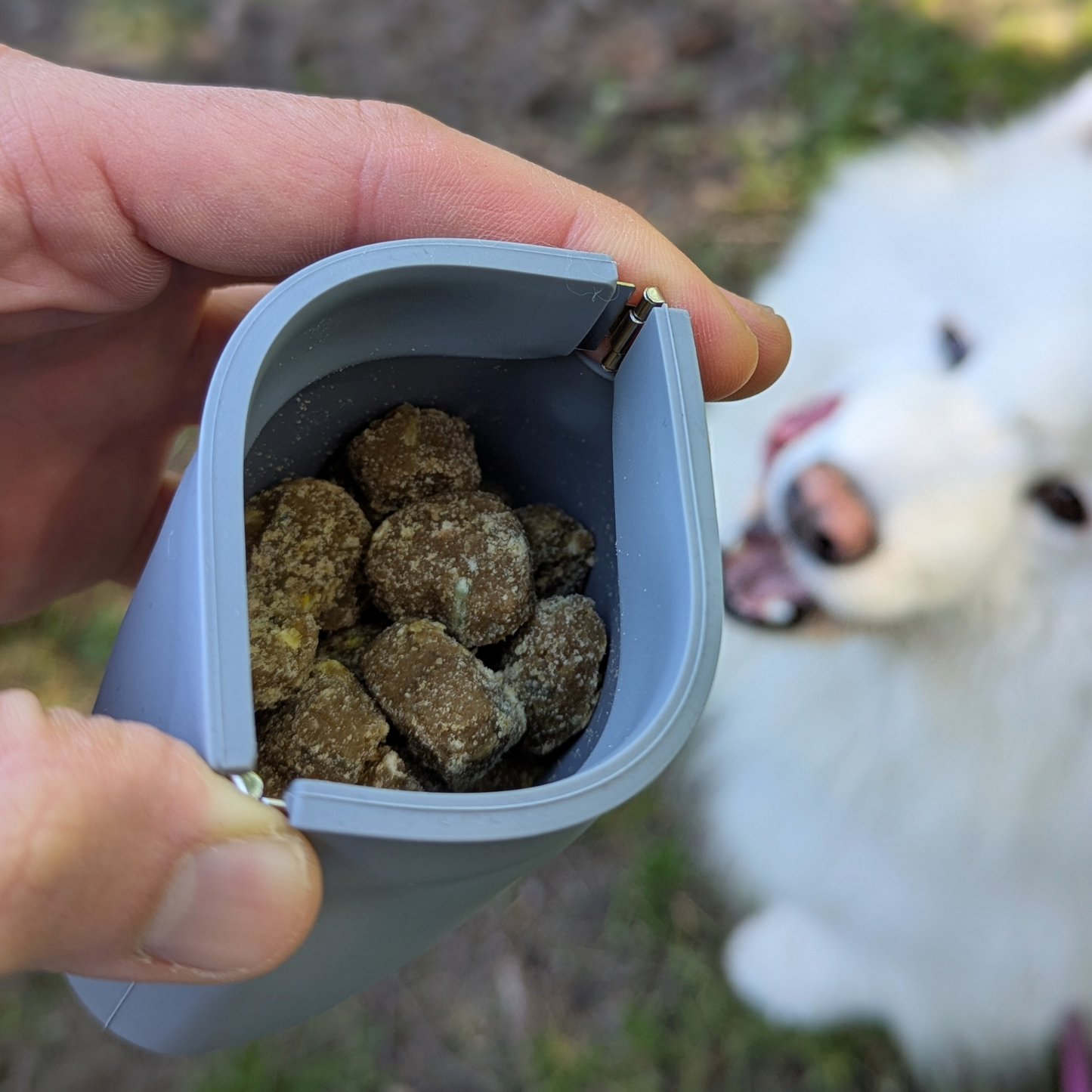 One-Hand Treat Training Pouch for Dogs