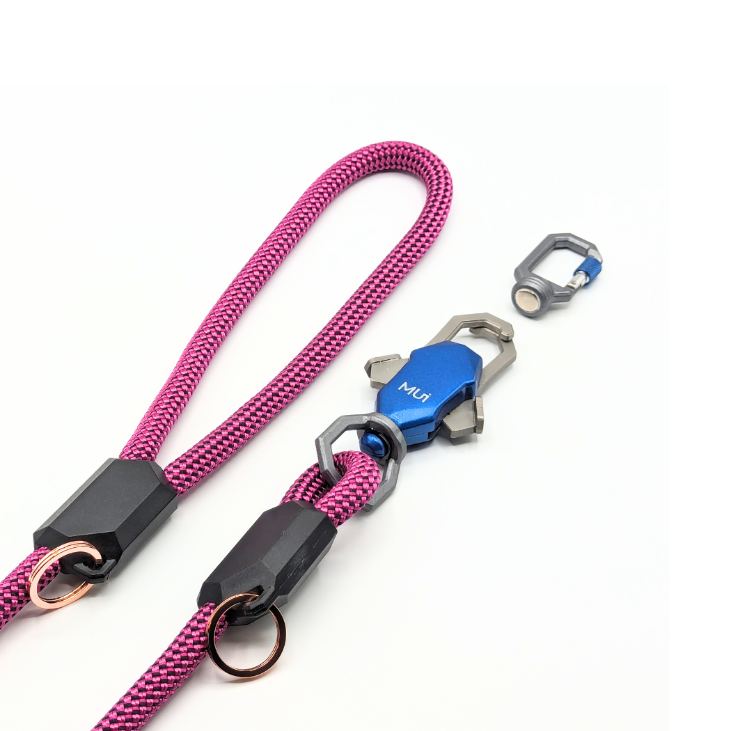 Patented Magnetic Dog Leash – One-Hand Connect & Release