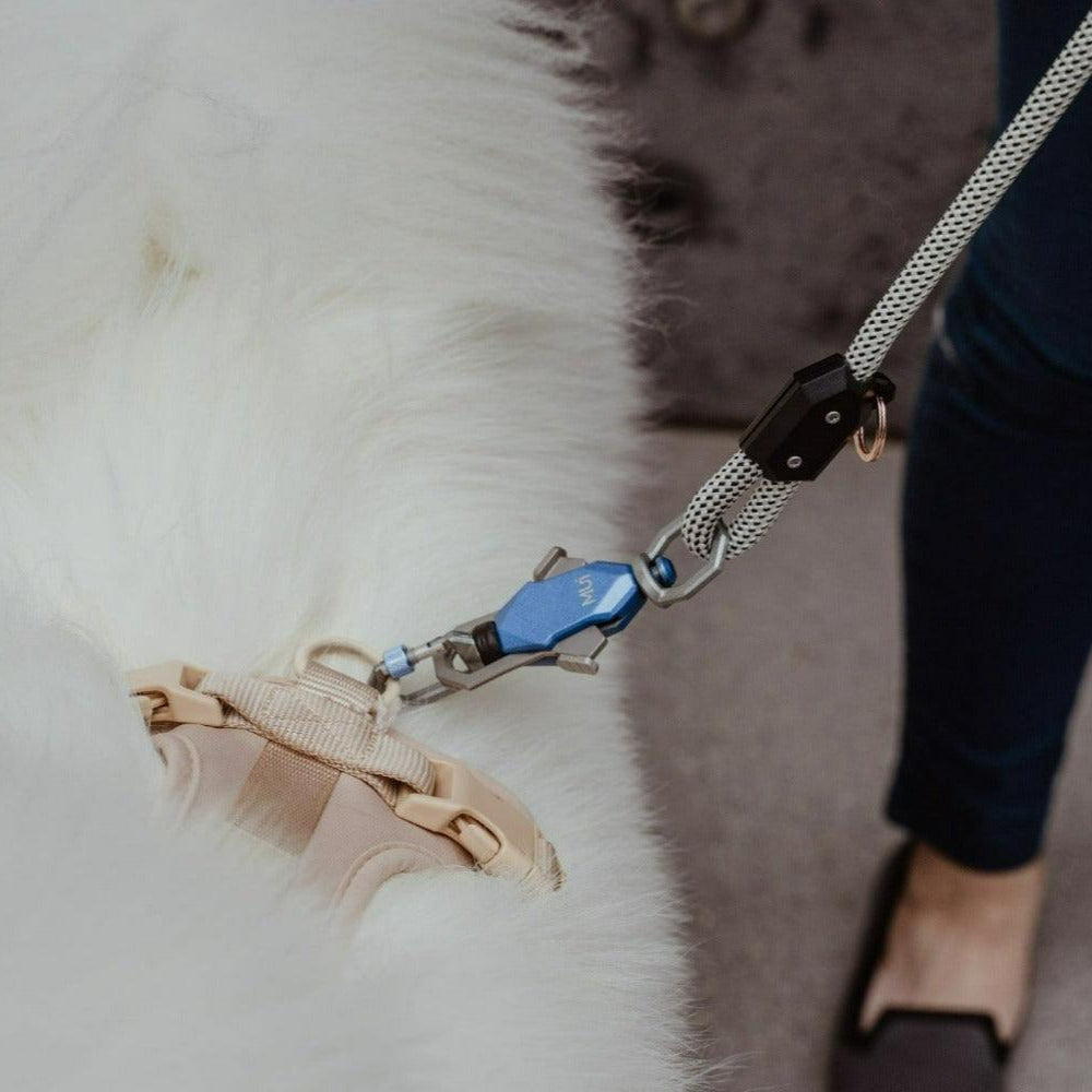 Patented Magnetic Dog Leash – One-Hand Connect & Release