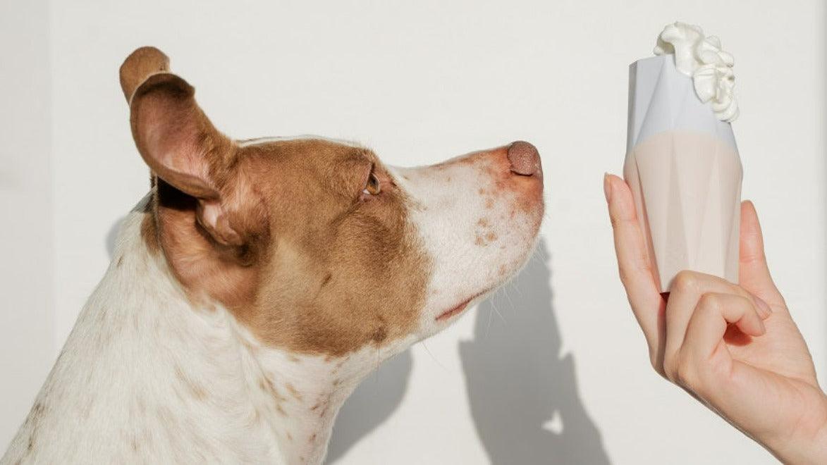 Ubbe Modern Dog Licking Toy