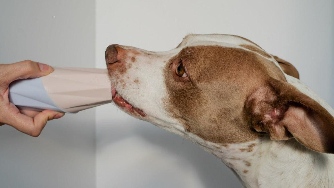 Ubbe Modern Dog Licking Toy