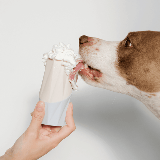 Ubbe Modern Dog Licking Toy