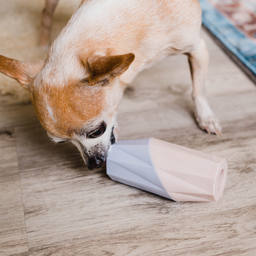 Ubbe Modern Dog Licking Toy