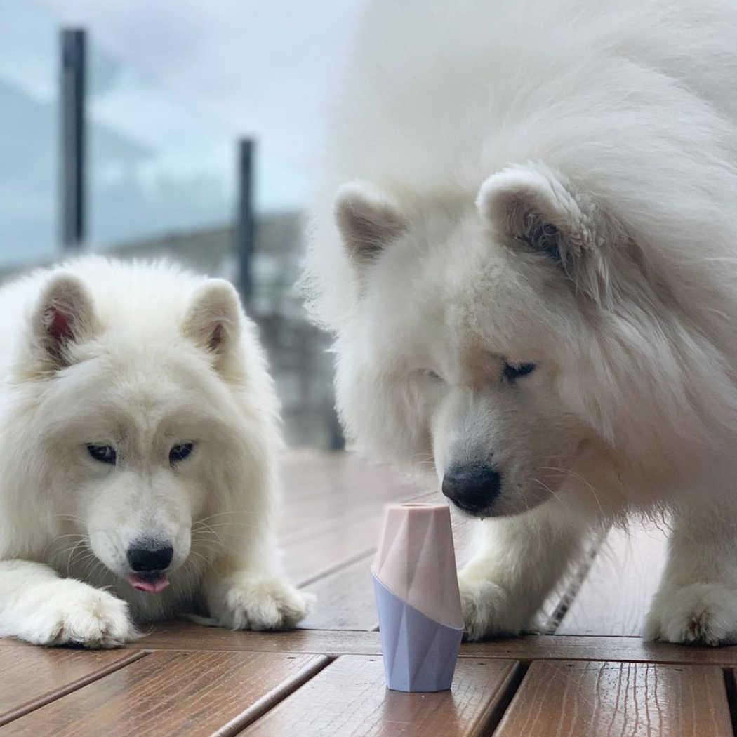 Ubbe Modern Dog Licking Toy